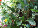 DSC07147