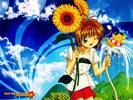[large][AnimePaper]wallpapers_Card-Captor-Sakura_Eowyn__THISRES__51896