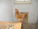 DSCN0914