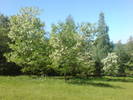 DSC01641