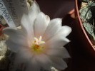 DSCF0543
