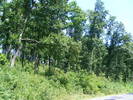 DSCF4019