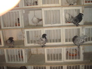DSC00867