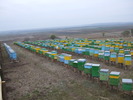 DSCF1611