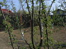 2009_04120083