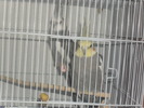 SDC12187