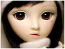 IsqN3L334270-02