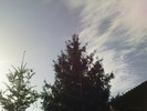 DSC00666