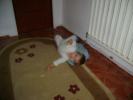 DSC03407
