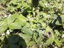 Fotografii-0047
