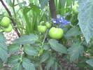 PICT0022