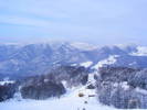 DSCF6372