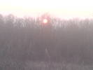 DSC00254