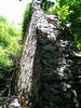 DSCF0565