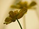 DSCF1610