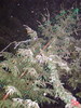 DSC01001