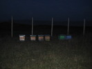 IMG_0003 (5)