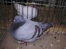5376 t 0