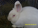 Picture 074