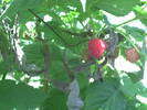 PICT0015
