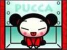 pucca