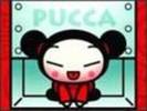 pucca