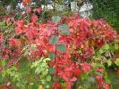 DSC00254
