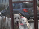 poze 01.05.2009 134