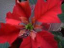Picture 034