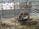 DSCF4298