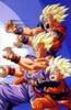 dragonball (32)