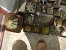 P1000742