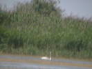 Copy of IMGA0972
