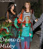 demiandmiley[1]