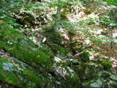 DSCF4640