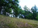 DSCF2558