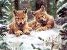 Christmas Wallpapers (662)
