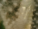 DSC09560