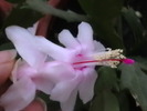 Picture 011