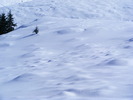 DSCF6929