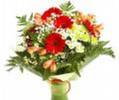 images_1