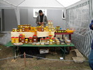DSCN3167