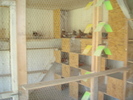 DSC00886