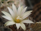 DSC09600