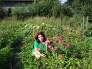 IN GRADINA DE LEGUME