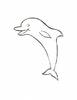 funny-dolphin-coloring-page
