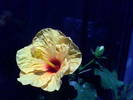 11-07-09_142805