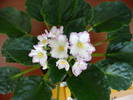 P1100741