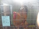 S6303600