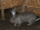 DSCF4029